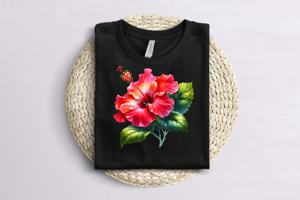 Beautiful Hibiscus