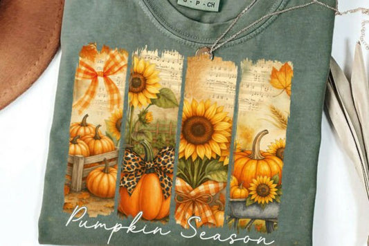 Pumpkin Season Shirt