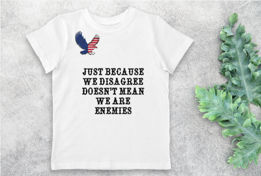 Just Because We Disagree Doesn't Mean We Are Enemies Tee